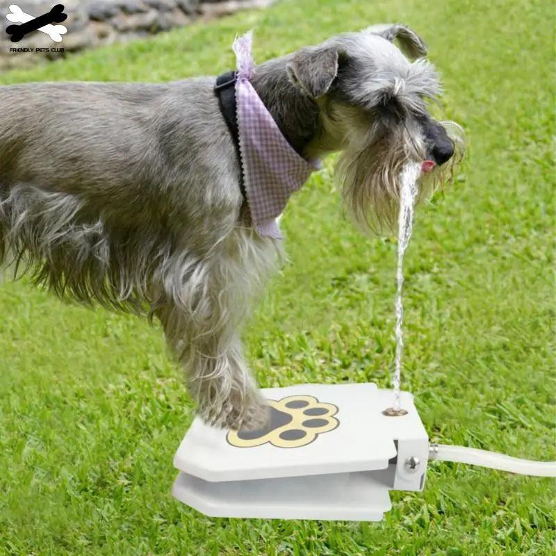 Automatic Dog Drinking Fountain - Shoply