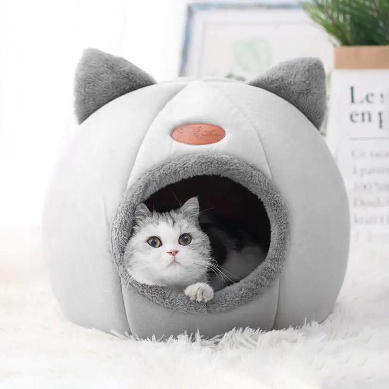 Cat Bed - Shoply