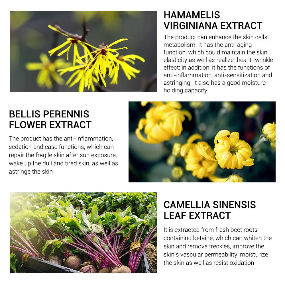 Pore Treatment Serum - Shoply