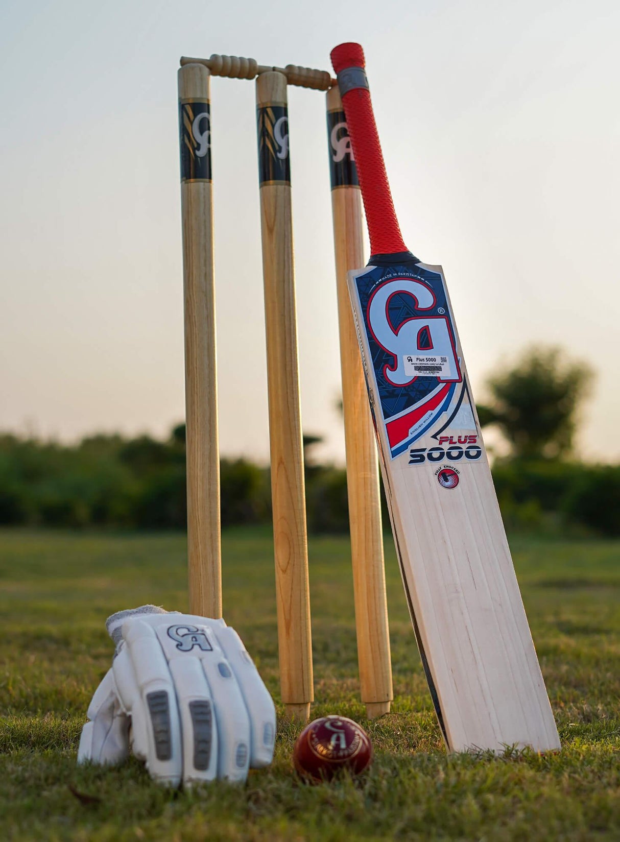 CA Plus 5000 Cricket Bat - Mill Sports