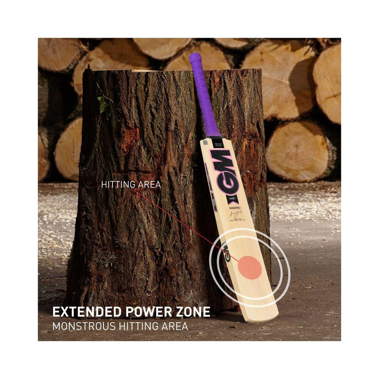 GM Haze Maestro Kashmir Willow Cricket Bat (Short Handle) Mill Sports