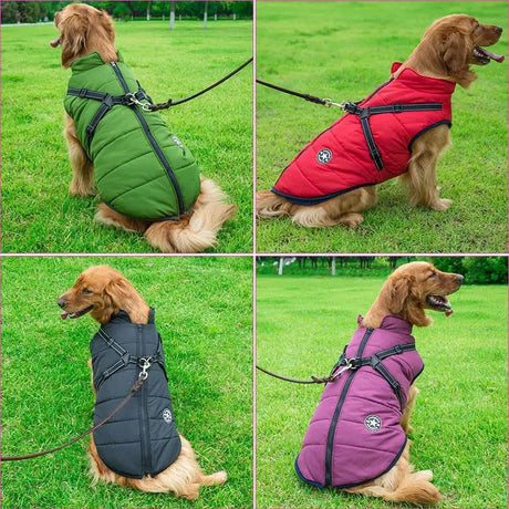 Winter Dog Jacket - Shoply