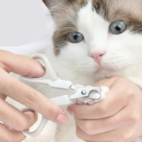 Cat Nail Clippers - Shoply