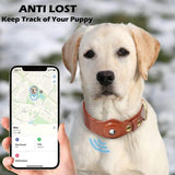 Leather Anti-Lost Dog Collar - Shoply