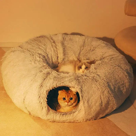 Cat Beds House - Shoply
