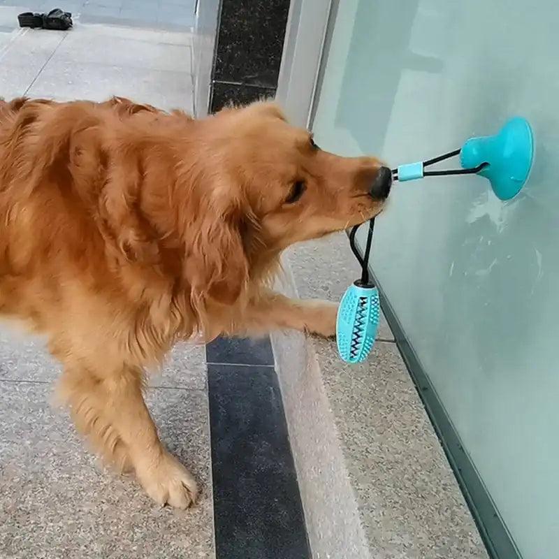 Silicone Suction Cup Dog Toy - Shoply