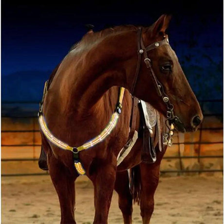 Nylon LED Horse Harness - Shoply