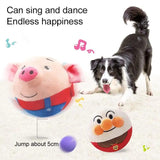 PetPalz: Interactive Talking Ball For Pets - Shoply