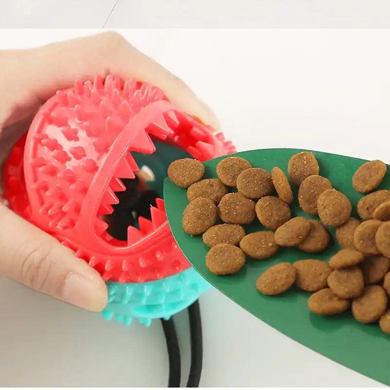 Silicone Suction Cup Dog Toy - Shoply