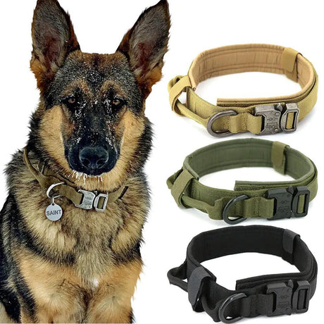 Dog Collar - Shoply