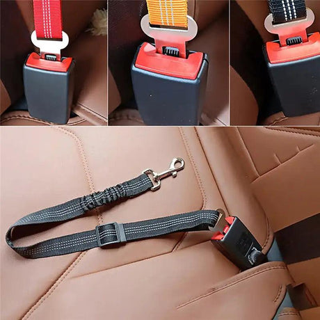 Ride With Me™ Pet Seat Belt - Shoply