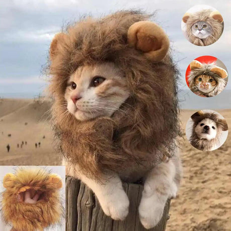 Lion Mane Cat Costume - Shoply