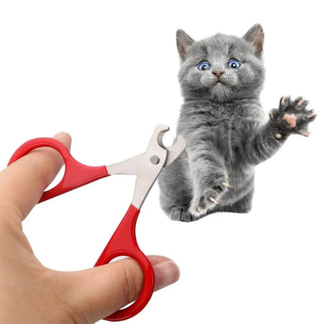 Cat Nail Clippers - Shoply