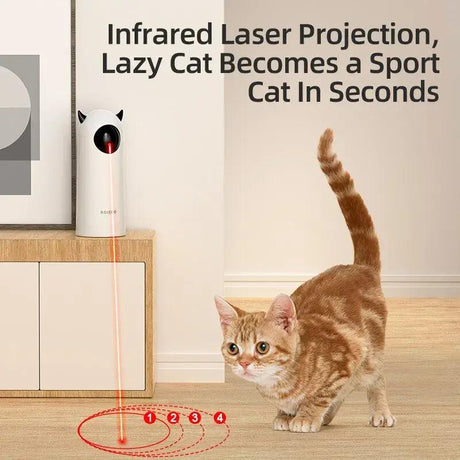 Smart Laser Play - Shoply