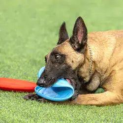 OnlinePetToys™- Dog rubber flying disc - Shoply