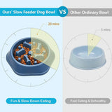 Slow Feeder Bone Design Pet Bowl - Shoply
