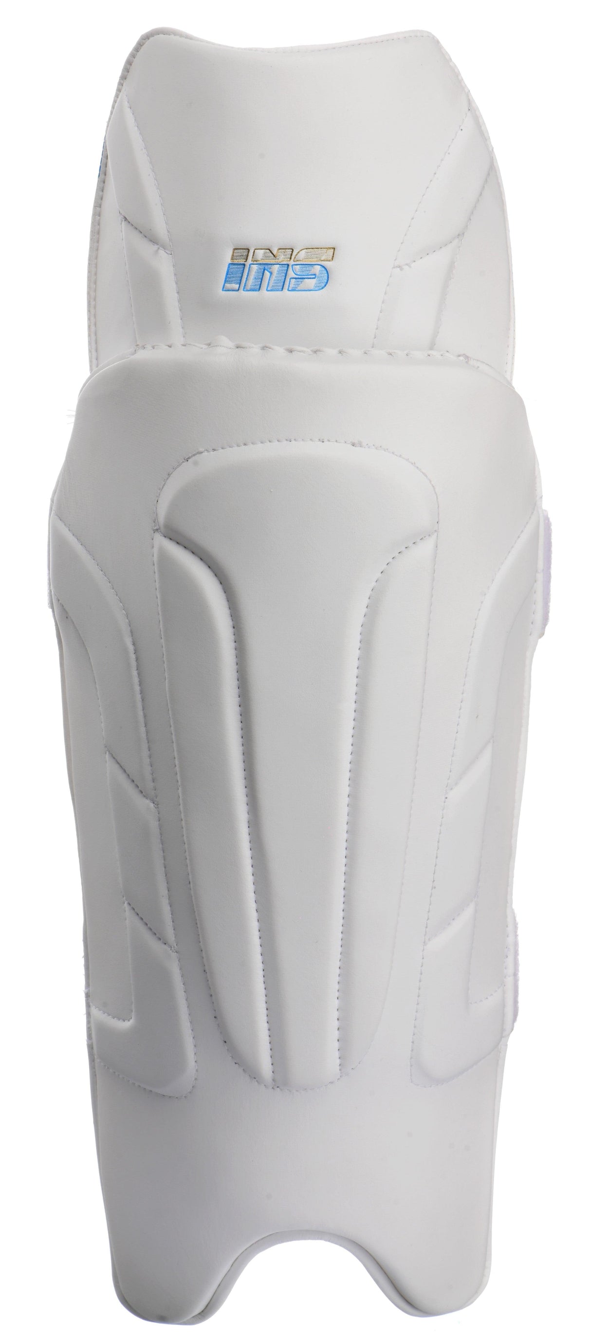 INS Ethereal Wicket-Keeping Pads - Shoply