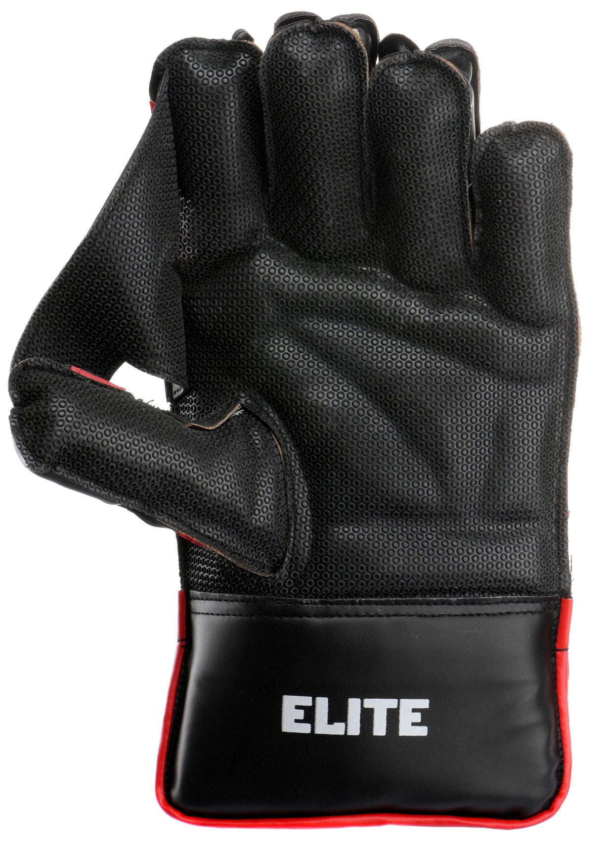 INS Elite Wicket-Keeping Gloves - Shoply